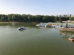 -大兴滨河森林公园