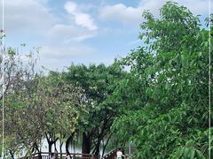 -广东花都湖国家湿地公园