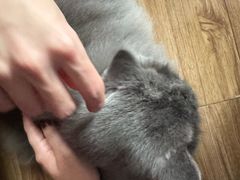 -Oh My Dog宠物沙龙(伊珊娜皮毛护理店)