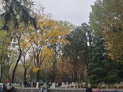 -莲湖公园