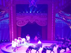 -珠海横琴长隆《卡卡虎奇遇记》