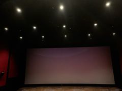 -万达影城(湛江万达广场IMAX店)