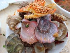 战果II-海岛渔村大酒店(云霄路店)