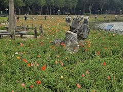 -顺峰山公园