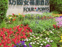 -廊坊固安福朋喜来登酒店