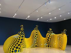 -旧金山现代艺术博物馆