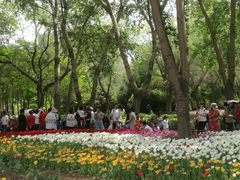 -长春公园(普阳街道)