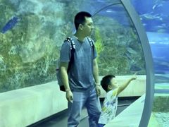 -芜湖新华联大白鲸海洋公园