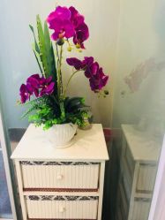 -薇兰专业脱毛连锁机构