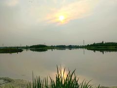 -蒲河岛湿地公园