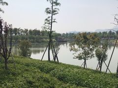 -湘湖金融镇