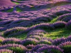 -嵖岈山风景区