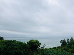 -广东惠东海龟国家级自然保护区