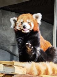 -Zoolung Zoolung动物主题公园(海信广场店)