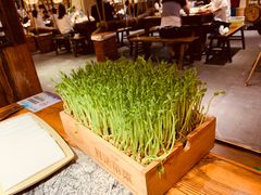 -渝味晓宇火锅(合川路店)