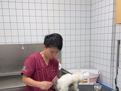 -瑞派康怡24h宠物医院·犬猫医疗中心·微创绝育(瑞景分院)