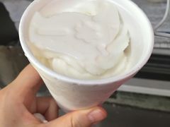 -洪馨椰子