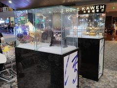 -上海浦东国际机场-T2航站楼