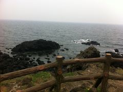 -涉地可支
