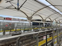 -外高桥保税区南(地铁站)