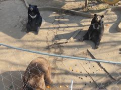 -无锡动物园·太湖欢乐园