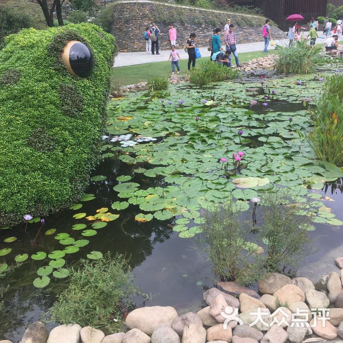 上海辰山植物園