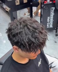 -蚂蚁造型俱乐部