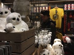 -九又四分之三站台