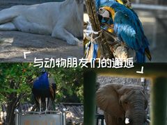 -郑州市动物园