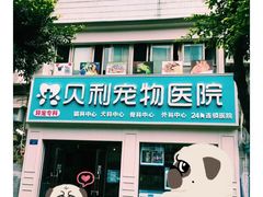 -贝利宠物医院·骨科·眼科·肿瘤转诊中心(南坪诊疗中心)