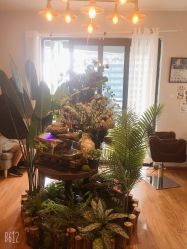 -杨益美学·野生眉半永久纹眉发际线