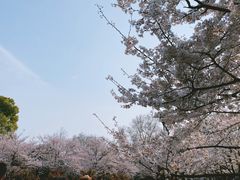 -堤角公园