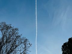 -北京鹫峰国家森林公园