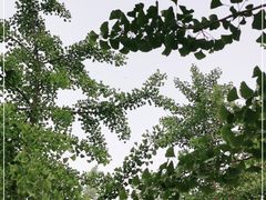 -达活泉公园