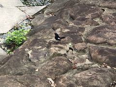 -苏州河梦清园环保主题公园