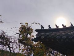 -泰山风景名胜区-普照寺