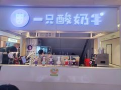 -一只酸奶牛(成都sm广场店)