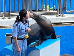 -香港海洋公园