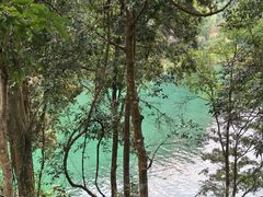 -广州市流溪河国家森林公园