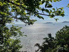 -普陀山雷迪森庄园