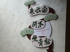 -菌自由丨野生菌火锅特色庭院餐厅(丽江古城店)