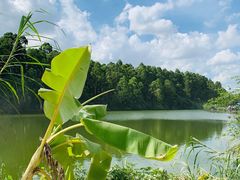 -松山湖南湖湾露营营地