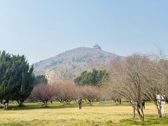 -采石矶景区