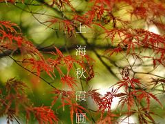-秋霞圃