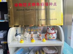 -瑞派·关忠动物医院·异宠专科·犬猫肿瘤·皮肤专科(望京店)