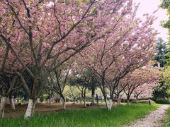 -白塘生态植物园