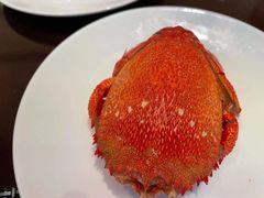 -喜来登酒店-盛宴标帜海鲜自助