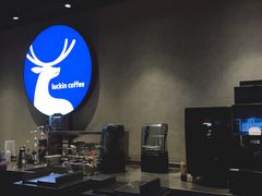 -瑞幸咖啡(广东外经贸大厦店)