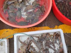 -霞涌市场海鲜摆卖区