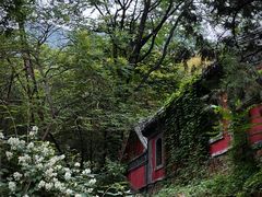 -潭柘寺景区